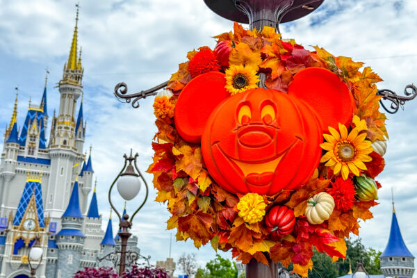 The Retro Magic Kingdom Shirt From Amazon That Everyone Will Be Wearing This Fall