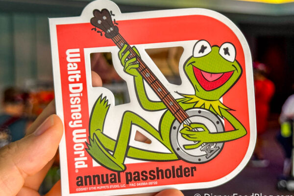 3 NEW Annual Passholder Perks Have Hit Disney’s Hollywood Studios