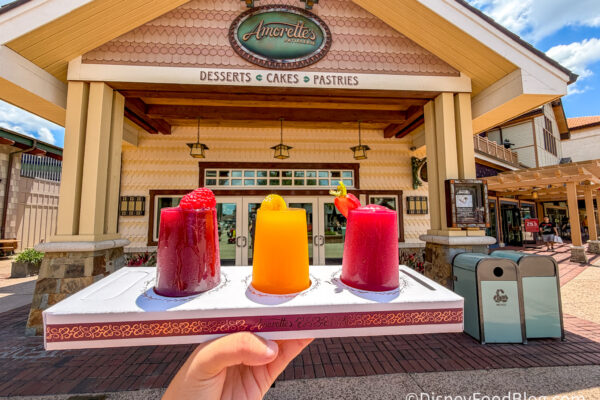 REVIEW: New Wine Slushy Flight in Disney World. That’s It. That’s The Post.