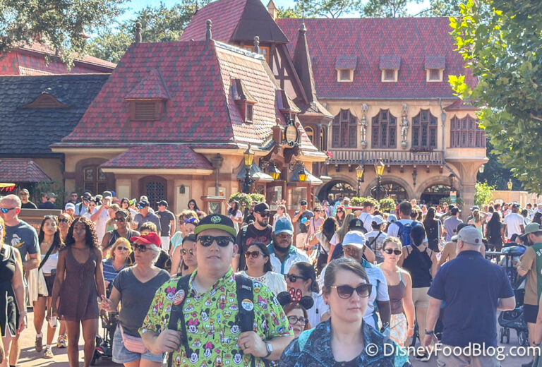 Food Save Rope We Were NOT Expecting These Crowds at EPCOT on a Random Saturday | the ...