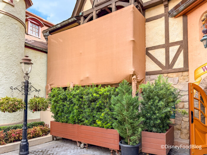DFB-Stein-Haus-Shop-World-Showcase-EPCOT