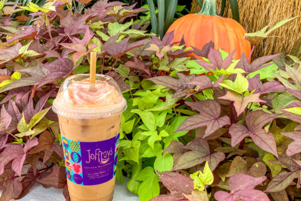 REVIEW: This Disney World Cold Brew Is Like Sticking a Straw in a Pumpkin