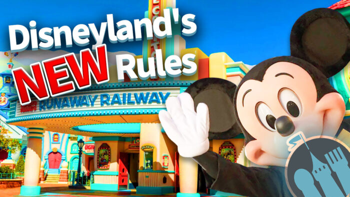 DFB Video: NEW RULES for Disneyland's Rides | the disney food blog